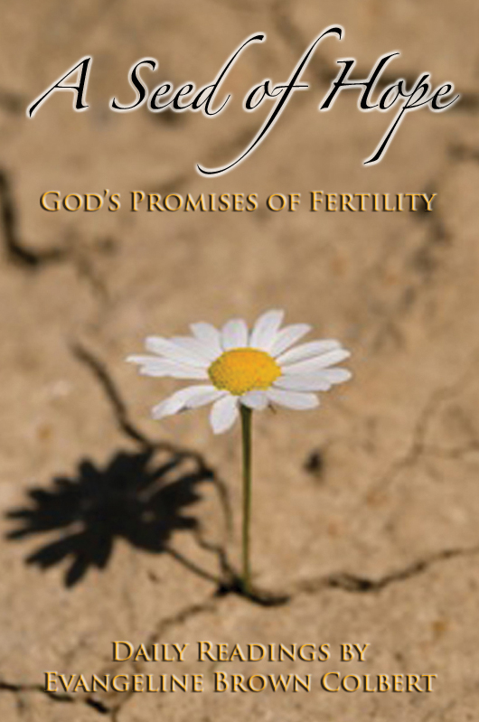 A Seed of Hope---God's Promises of Fertility