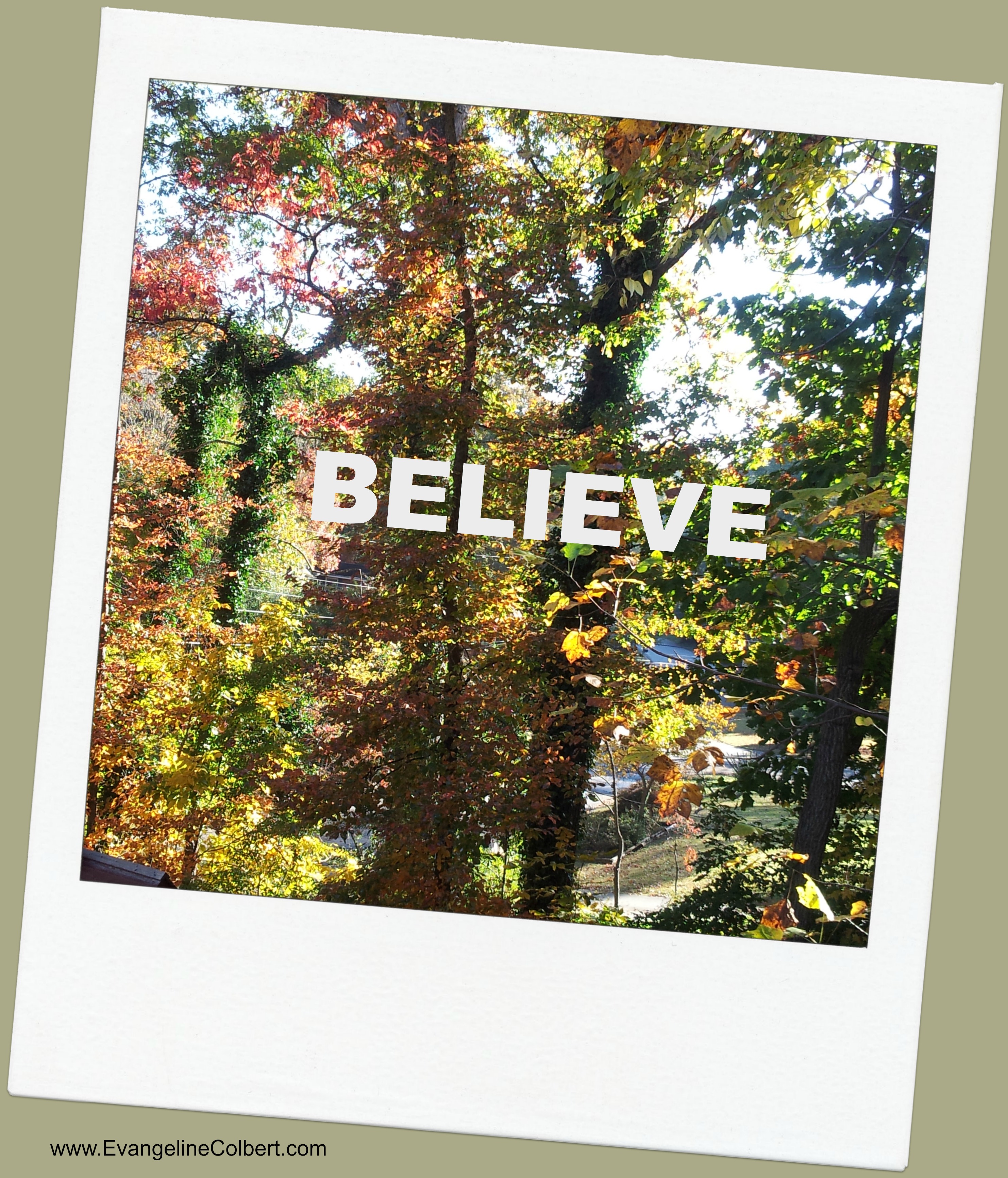 Believe (Fall colors)